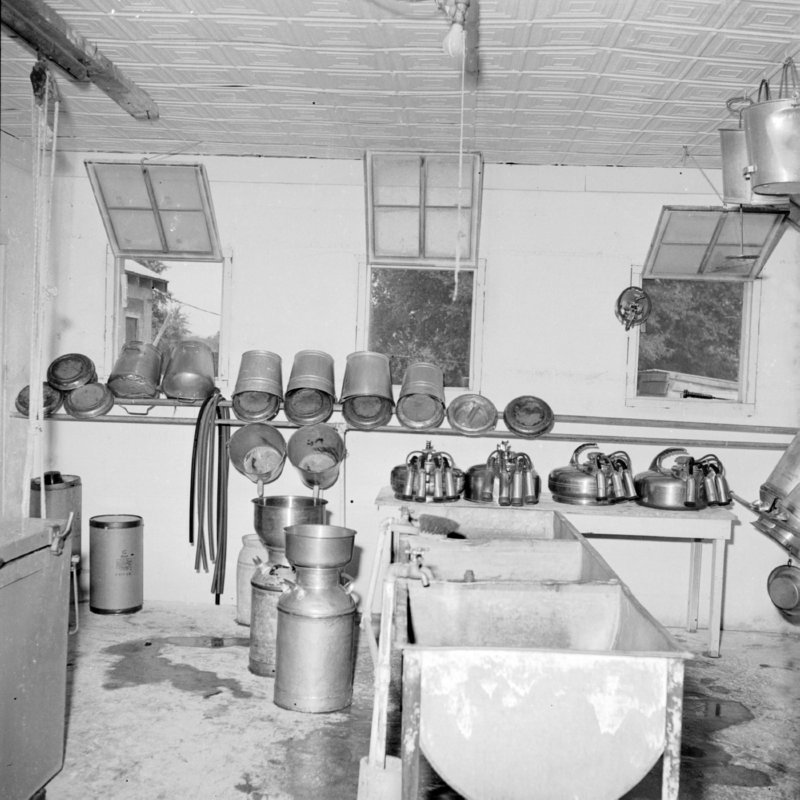 088_milk buckets, calf buckets, screens, hoses,... (undated).jpg